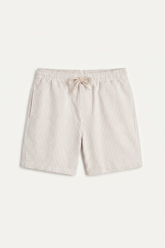 Striped Short Swim Shorts