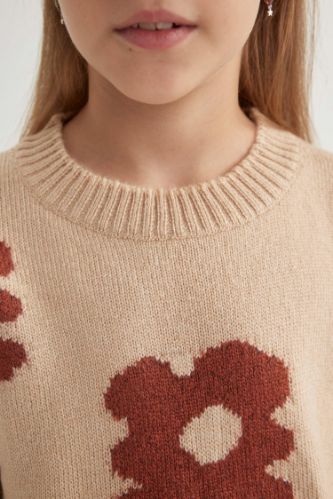 Leopard intarsia best sale fulton pullover sweater