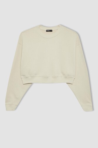 Loose Fit Thick Sweatshirt Fabric Sweatshirt