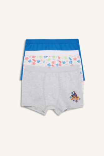 Young Boys - Teen Boys Royal Boy 3 piece PAW Patrol Licensed Printed Boxer