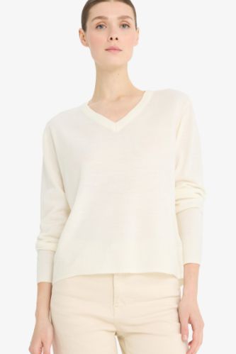 Relax Fit Soft Texture V Neck Basic Knitted Pullover