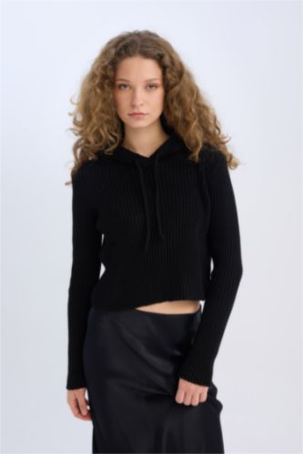 Regular Fit Hooded Knitwear Pullover