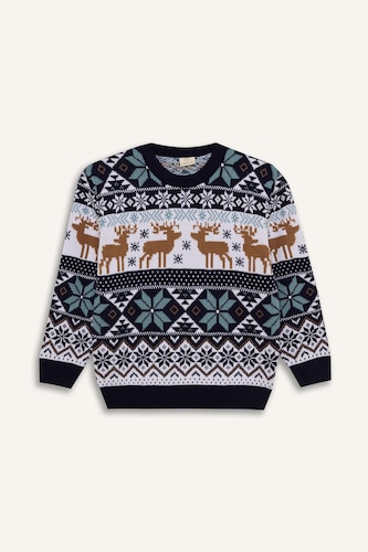 Boy Regular Fit Patterned Crew Neck Knitted Pullover