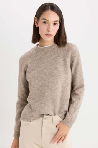 Regular Fit Bisiklet Yaka Basic Düz Triko Kazak