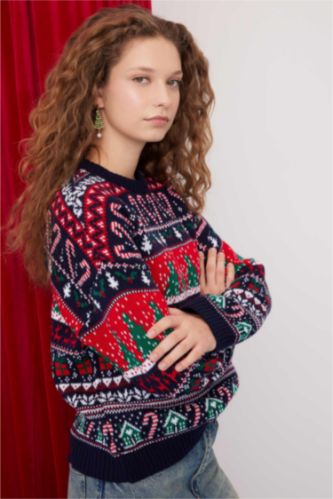 Regular Fit Crew Neck Knitwear Pullover