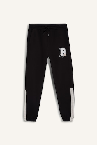 Standard Fit Thick Sweatshirt Fabric Jogger