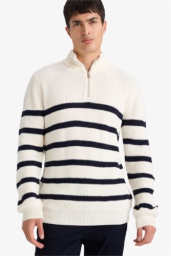 Pull à col roulé Coupe standard