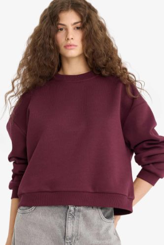 Regular Fit Bisiklet Yaka Kalın Sweatshirt