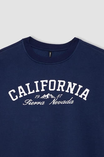 Relax Fit Thick Sweatshirt Fabric Sweatshirt