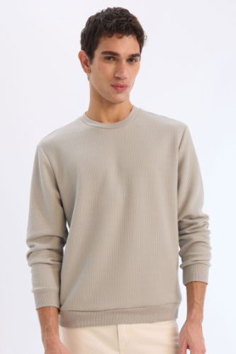 Regular Fit Bisiklet Yaka Basic Düz Sweatshirt