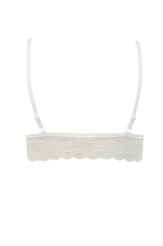 Padded Wire-Free Lace Bra