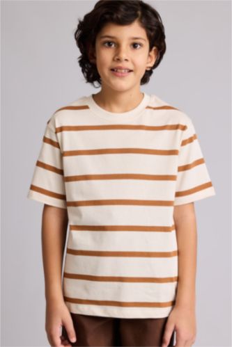 Boys & Teens Camel Regular Fit Striped Short Sleeve T-Shirt