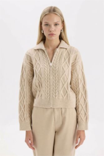 қалыпты пішім жейде мойыны Кардиган