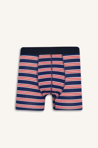 Regular Fit Striped 3 Piece Boxers