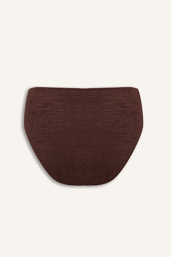 Regular Fit Wrinkle Textured Brown Bikini Bottom