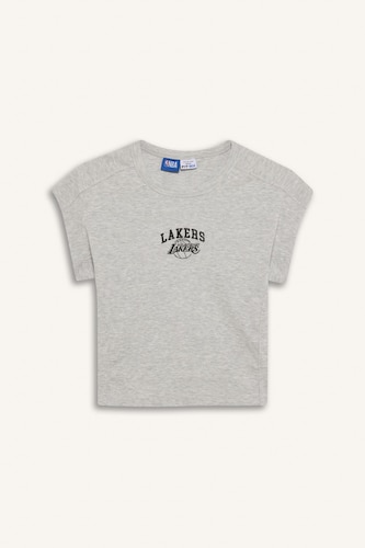 NBA Los Angeles Lakers Standard Fit Embroidered T-Shirt