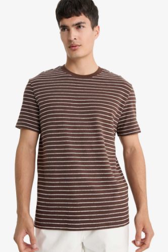 Regular Fit Crew Neck Striped T-Shirt