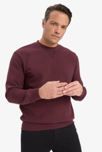 Regular Fit Sweatshirt