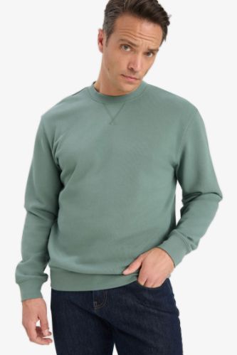 %100 Pamuk Regular Fit Bisiklet Yaka Sweatshirt