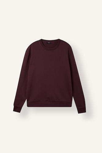 Cotton Regular Fit Basic Sweatshirt