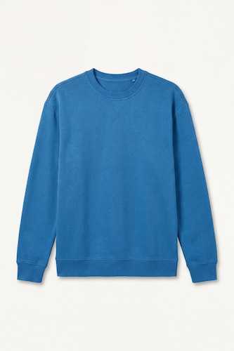 Regular Fit Cotton Basic Sweatshirt