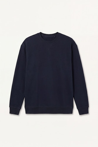 Regular Fit Cotton Basic Sweatshirt