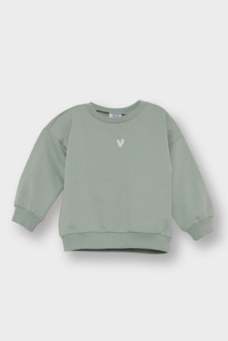 Regular Fit Crew Neck Sweatshirt