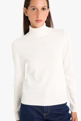 Regular Fit Half Turtleneck Pullover