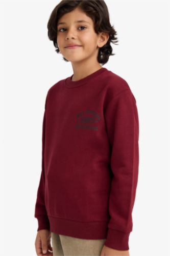 Erkek Çocuk Bisiklet Yaka Basic Düz İçi Yumuşak Tüylü Sweatshirt