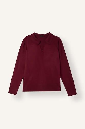 Regular Regular Fit Polo Collar Pullover