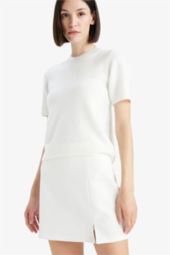 Regular Fit Crew Neck Embroidered Knitwear Pullover