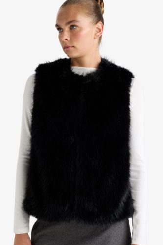 جيلي قصة عادية