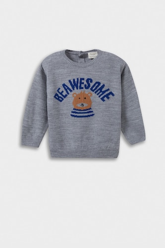 Baby Boy Crew Neck Bear Print Pullover