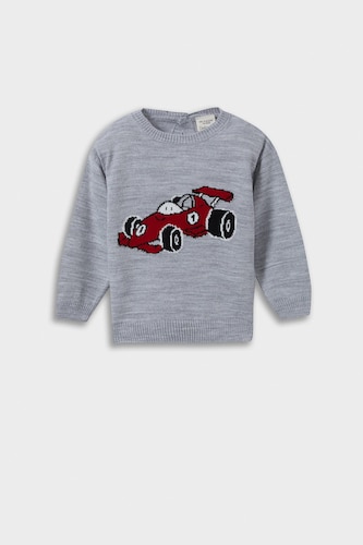 Baby Boy Regular Fit Printed Pullover