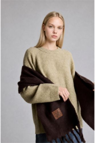 Women Brown Woman Scarf