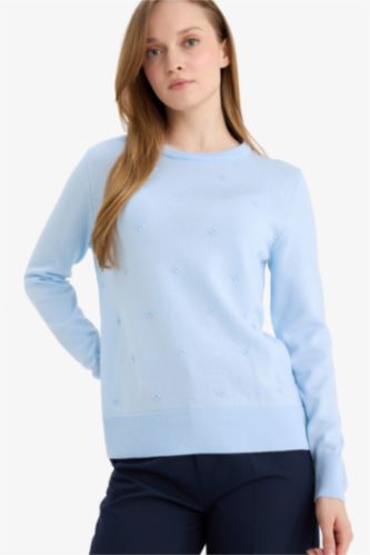 Regular Fit Crew Neck Knitwear Pullover