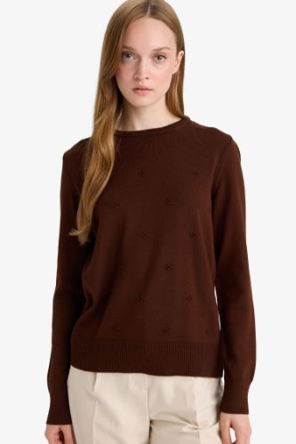 Regular Fit Crew Neck Knitwear Pullover