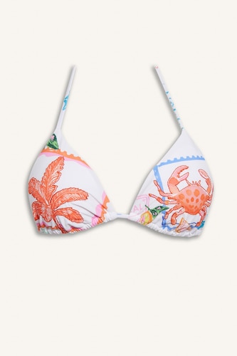 Boy Regular Fit Printed Bikini Top