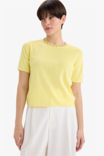 Regular Fit Crew Neck Embroidered Knitwear Pullover