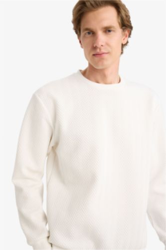 Regular Fit Bisiklet Yaka Sweatshirt