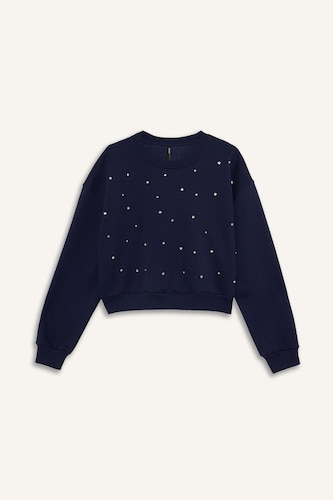 Boxy Fit Embroidered Long Sleeve Sweatshirt