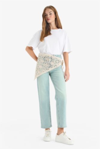 Comfort Straight Regular Waist Embroidered Ankle Length Jeans