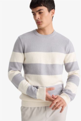 Pull tricot à col rond Coupe standard