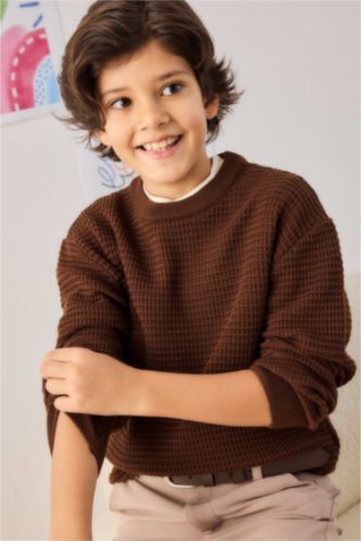 Boy Regular Fit Crew Neck Pullover