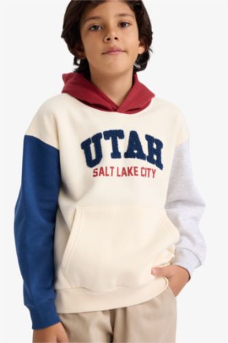 Erkek Çocuk Oversize Geniş Kalıp Kapüşonlu Baskılı İçi Yumuşak Tüylü Sweatshirt