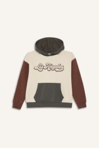 Boy Oversize Fit Hooded Printed Soft Fleece Lined Sweatshirt