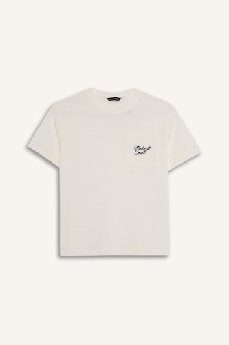 Boy New Regular Fit Embroidered Pocket Print T-Shirt