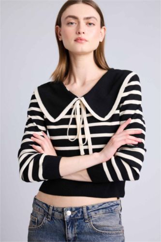 Women Black Slim Fit Pullover