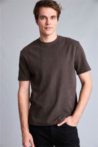 Men Brown Regular Fit Short Sleeve T-Shirt