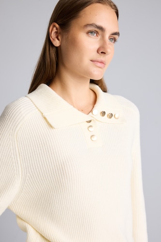 Pull à col polo Coupe régulière